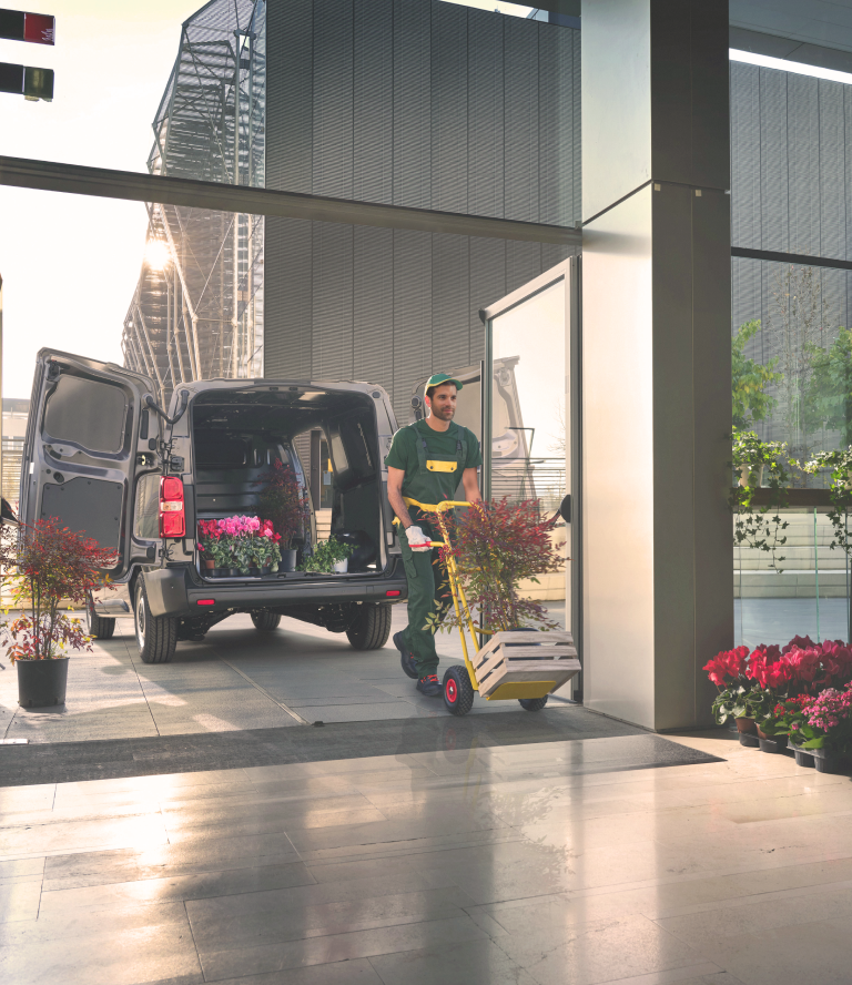 Fiat Professional Scheibenreparatur